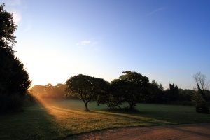  Lumière du matin