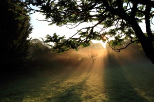  Lumière du matin