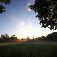  Lumière du matin