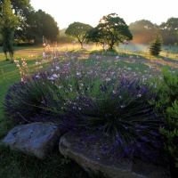  Lumière du matin