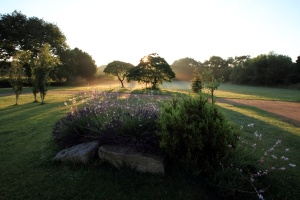  Lumière du matin