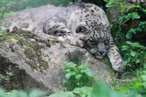 Zoo Bioparc