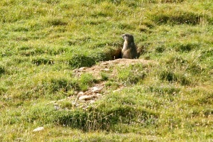 Parc de Merlet