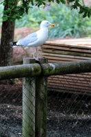 Marais aux oiseaux