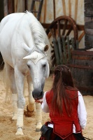 La Dame à la Licorne