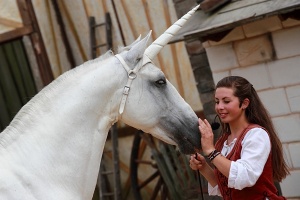 La Dame à la Licorne